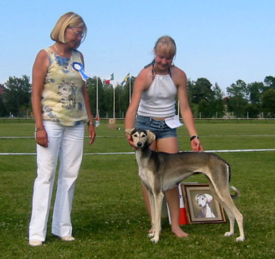 Farha at Saluki Show 2003