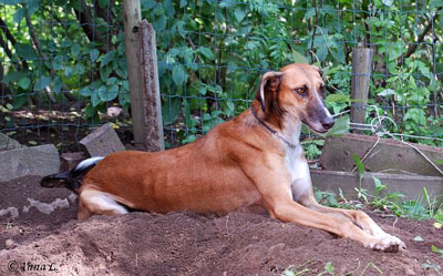 Khattaf in July 2007