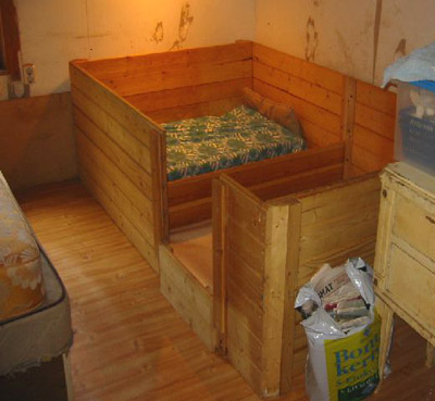 Puppy room