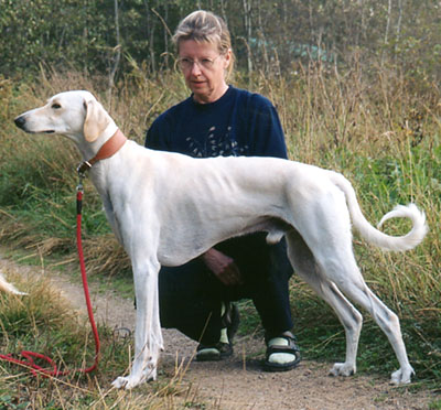 3-year-old Zafran Asli with his owner, Seija