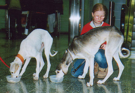 Safi, Farha and Sara at the Airport