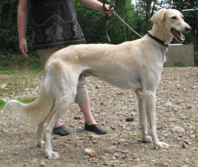 Hali 3 years