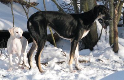 Khowla 10 vkoa & Tayra melkein 3 v.